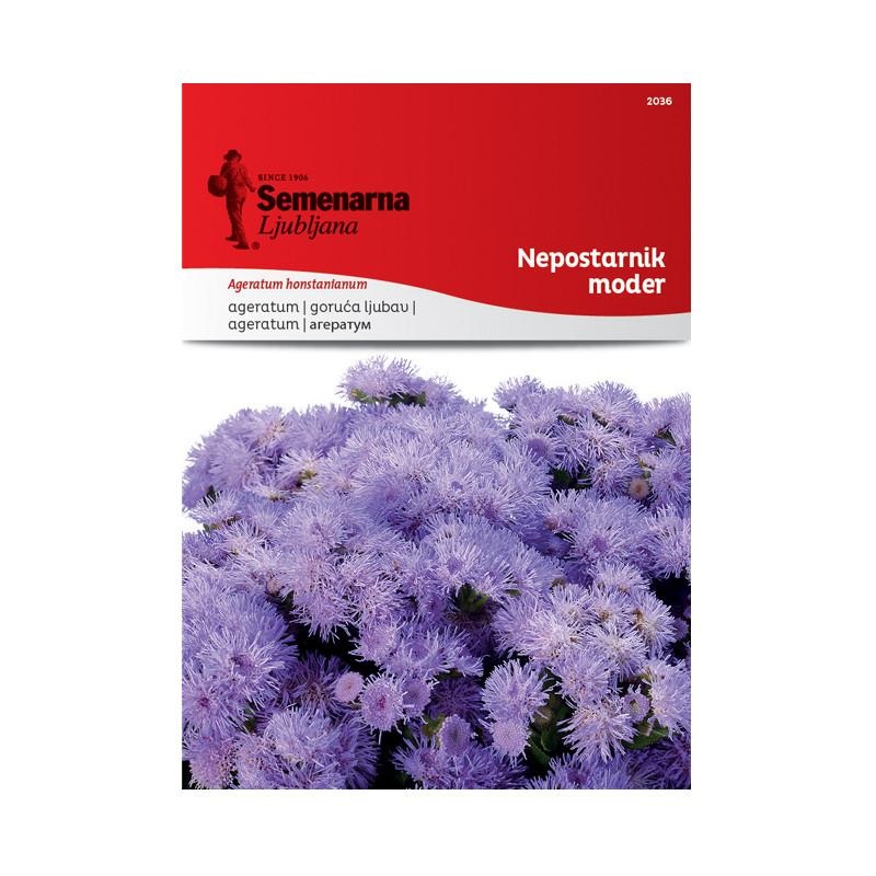 1701f6_04301ce9290943bb8c3837f9d6f8b918mv2.jpg Агератум (Ageratum honstanianum) - Image 1