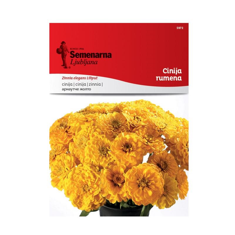 1701f6_0cfd1bae35f84121af4f92c3aef30541mv2.jpg Арнаутче Жолто (Zinnia elegans Liliput) - Image 1