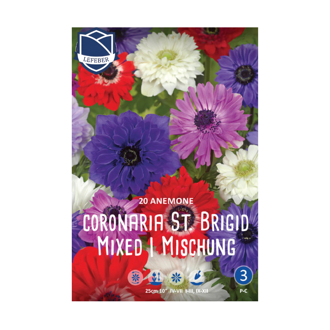 1701f6_10f6822efa2c4f518d92884c32c07810mv2.png Anemone coronaria St. Brigid (20) - Анемоне - Image 1