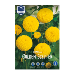 Dahlia Golden Scepter (1) - Далија