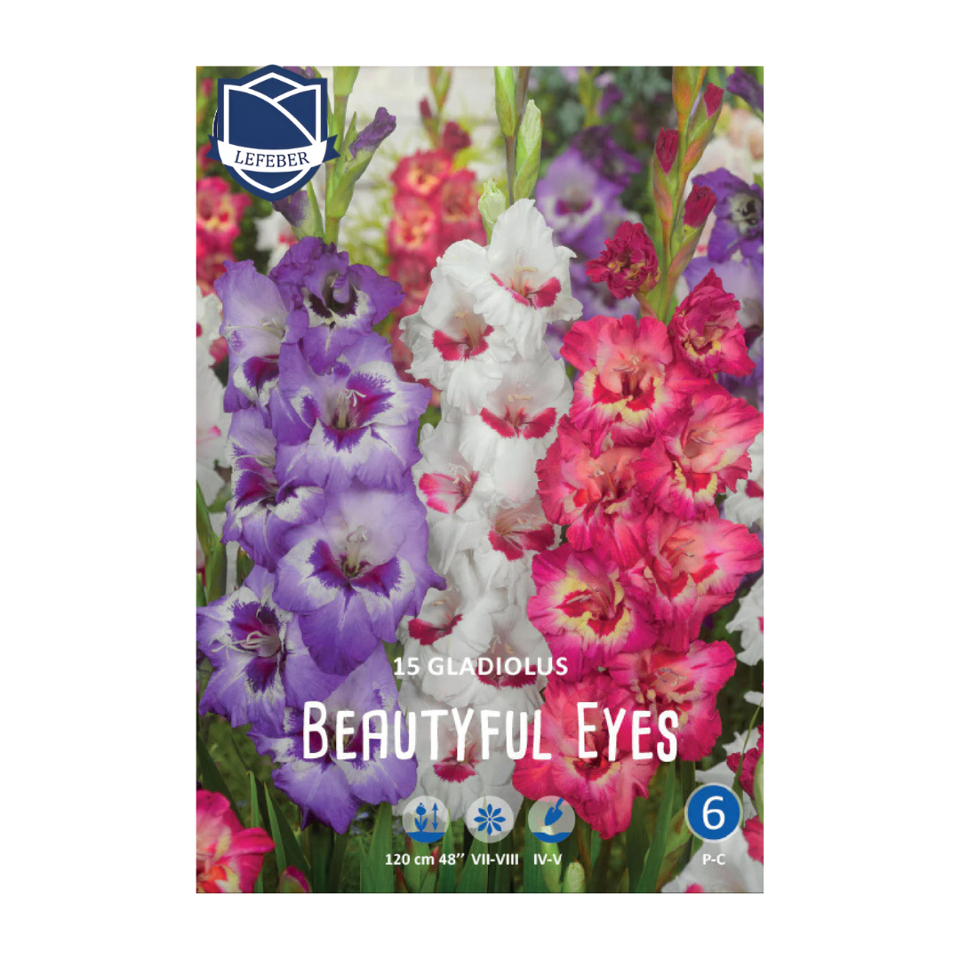 1701f6_1ec9b2d4812f488da11d7f1bc62f5fc0mv2.png Gladiolus Beautiful Eyes (15) - Гладиола - Image 1