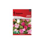 Воденка (Impatiens walleriana)