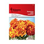 Џунџуле Ниско (Tagetes patula L.)
