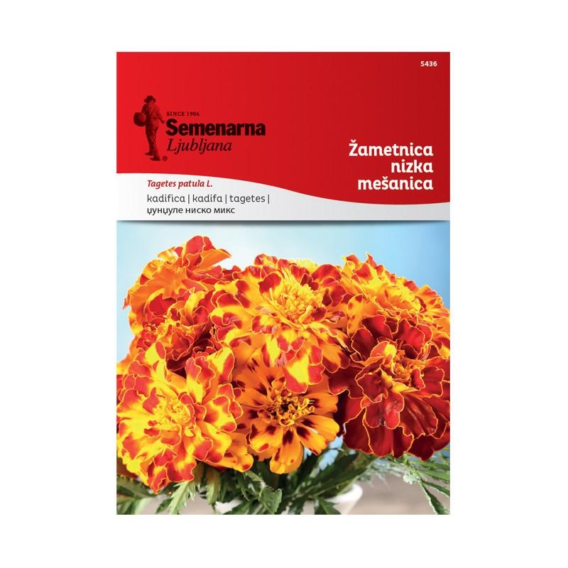 1701f6_23ecb2e4531f48adb975a02e75e4bd3dmv2.jpg Џунџуле Ниско (Tagetes patula L.) - Image 1