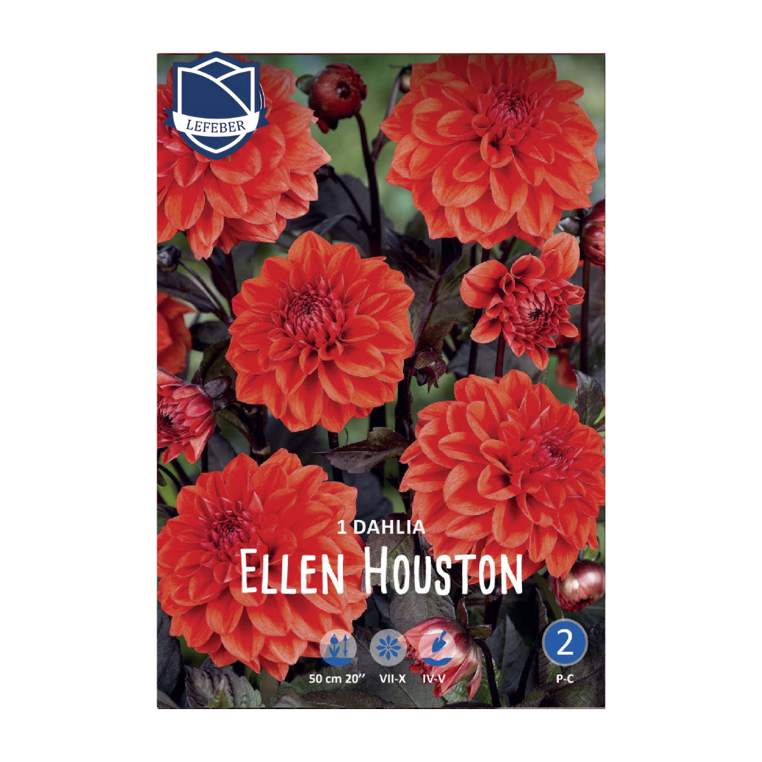 1701f6_257e754aef2f4faa86e53bbc7f69bb0cmv2.png Dahlia Ellen Houston (1) - Далија - Image 1