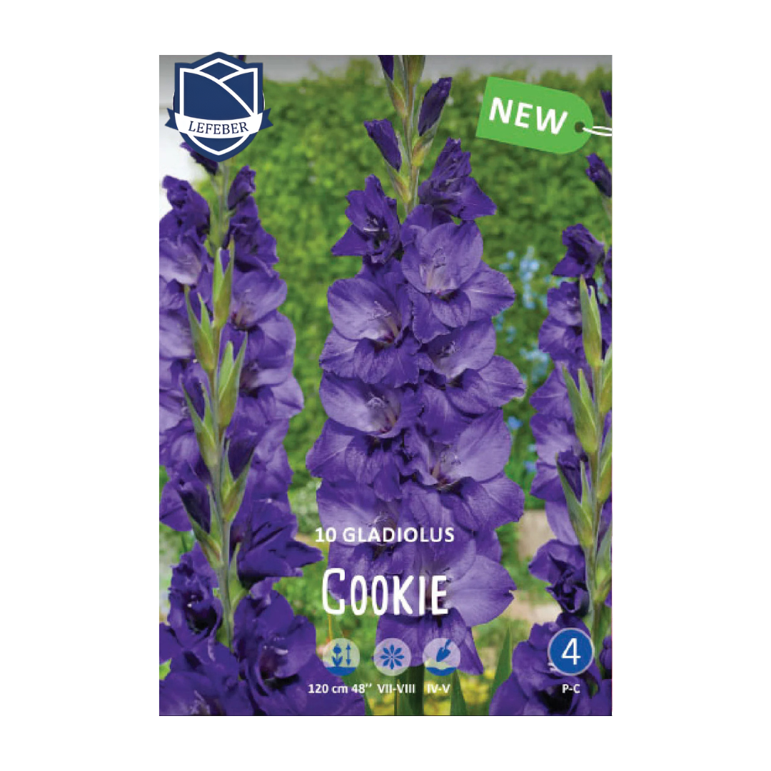 1701f6_302ca853a5dd44bab874ee0e9ed579c5mv2.png Gladiolus Cookie (10) - Гладиола - Image 1