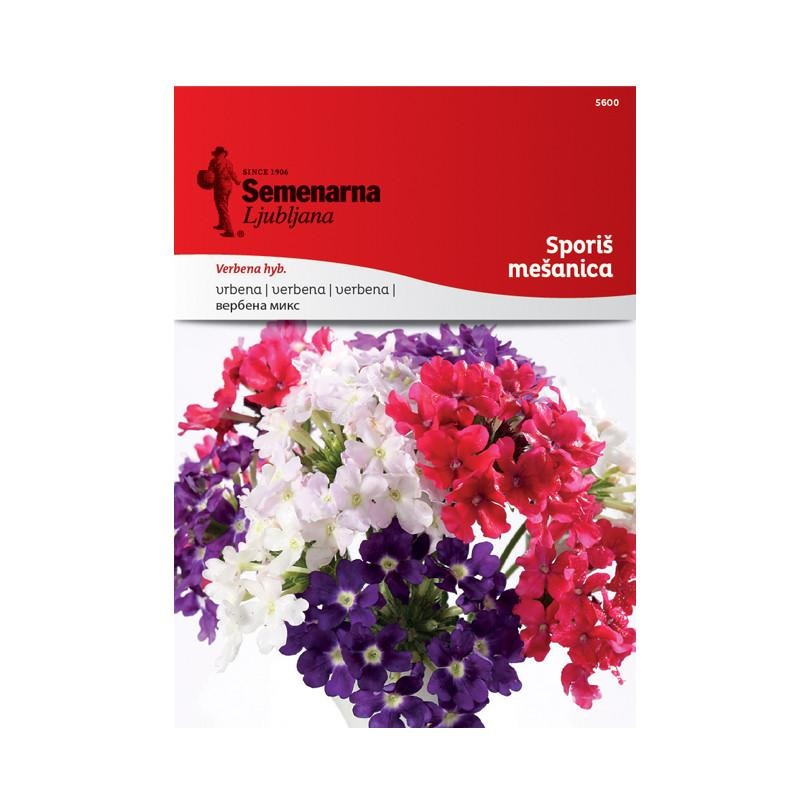 1701f6_3318122eb39244dfbe3a0d055d6cb23cmv2.jpg Вербена Микс (Verbena hyb.) - Image 1