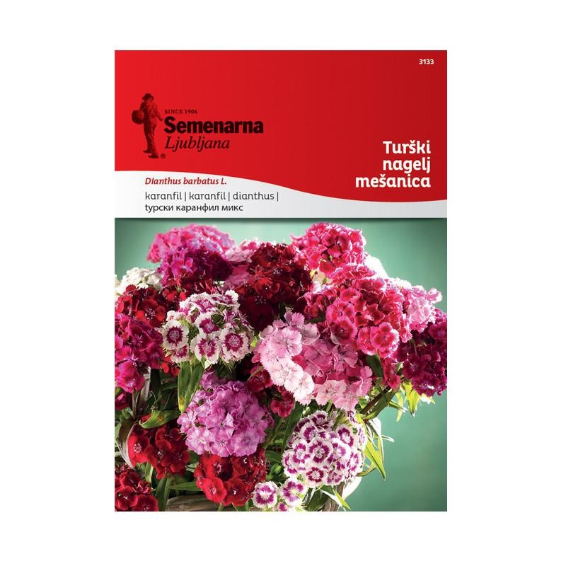 1701f6_33f19f2ff9644a59bafee685785330dbmv2.jpg Турски (топ) Каранфил (Dianthus barbatus L.) - Image 1