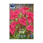 Canna Eden (3) - Кана