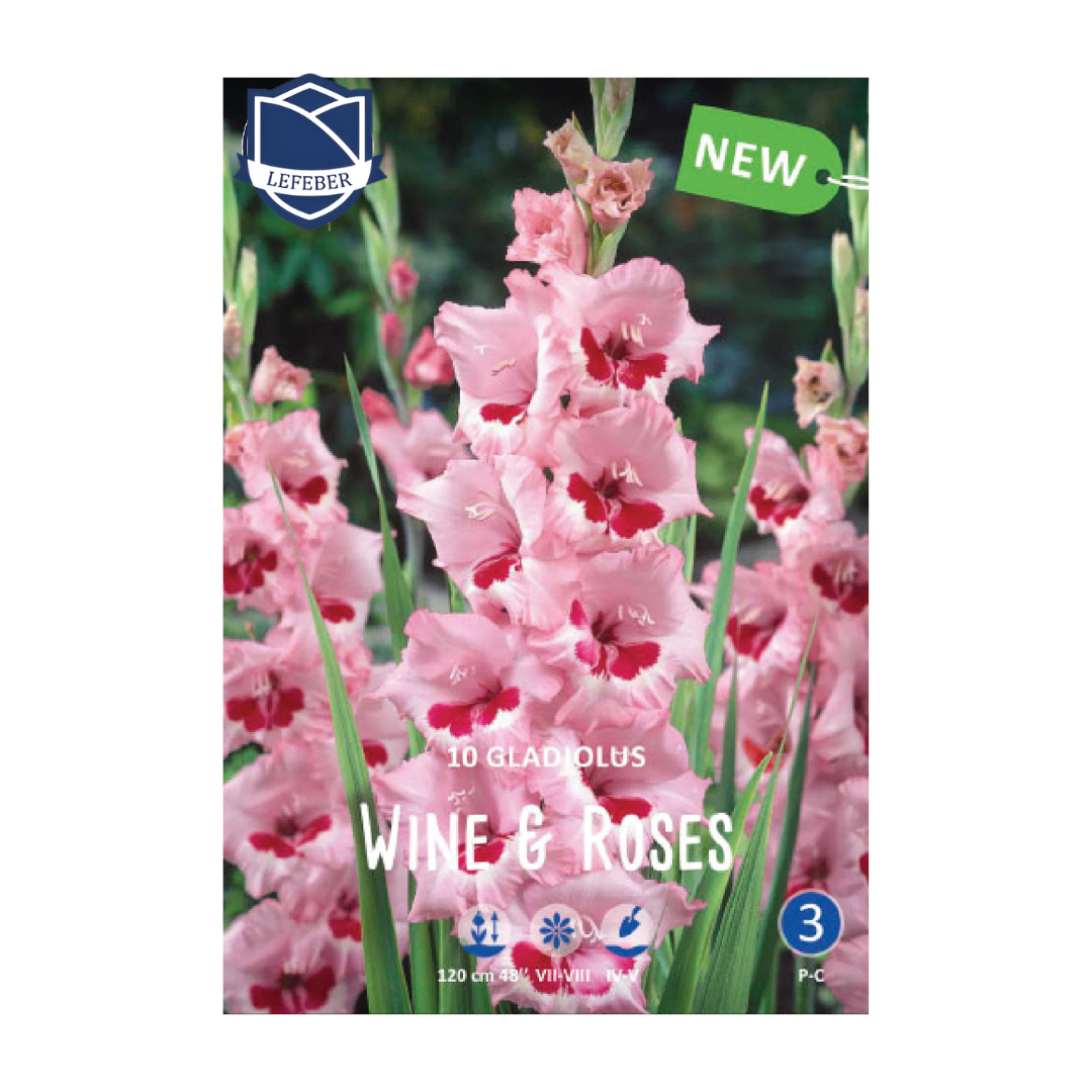 1701f6_3c9ca30d7588497b9527b7f7ab0e2ca2mv2.png Gladiolus Wine and Roses (10) - Гладиола - Image 1