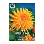 Dahlia Gold Crown (1) - Далија