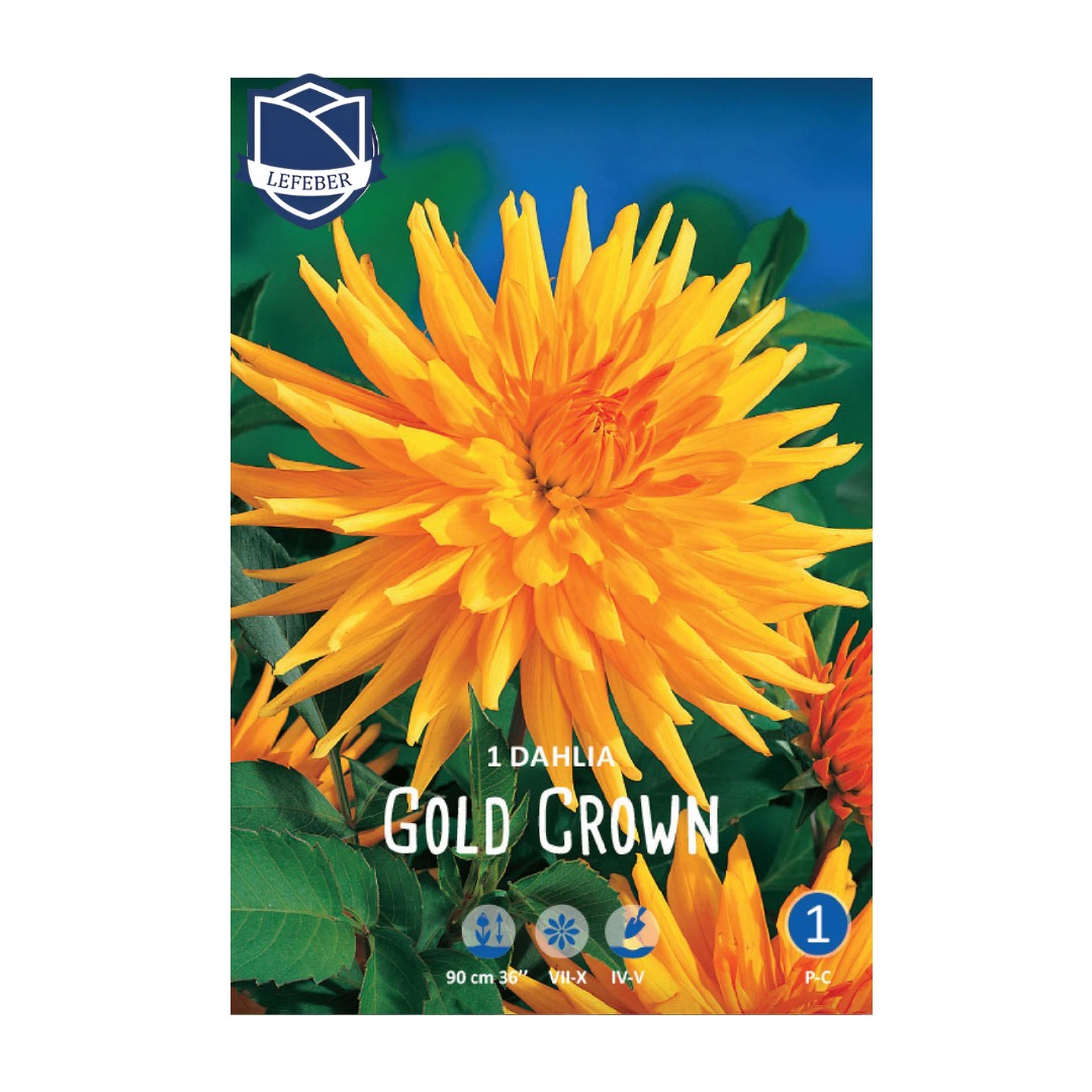 1701f6_42fb9bda96a841cfabb2e3069b2725a3mv2.png Dahlia Gold Crown (1) - Далија - Image 1
