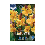 Canna Louis Cottin (3) - Кана
