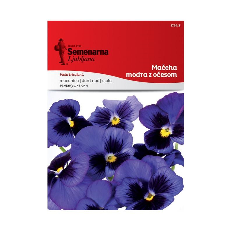 1701f6_4844c82b501747c2a55b403cc4ac75admv2.jpg Љубичица Сина (Viola tricolor L.) - Image 1
