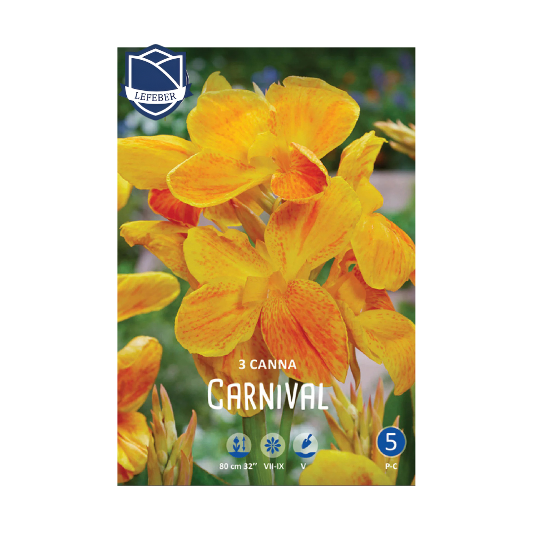 1701f6_49f1be72e609443789aeae0761ff36cdmv2.png Canna Carnival (3) - Кана - Image 1