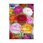 Ranunculus Mixed (15)