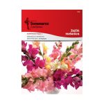 Антириум (Antirrhinum majus L.)