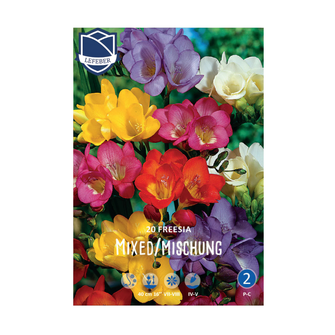 1701f6_5c10382b77b3483b84310d096e2773a6mv2.png Freesia Single (20) - Фрезија - Image 1