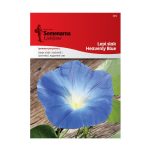 Ладолеж Син (Ipomoea purpurea L.)