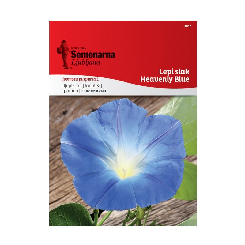1701f6_5d5ff0c86d114ad982b37d88843f3cb5mv2.jpg Ладолеж Син (Ipomoea purpurea L.) - Image 1