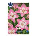 Lilium Njoyz (3) - Крин