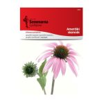 Амерички Сламник (Echinacea purpurea)