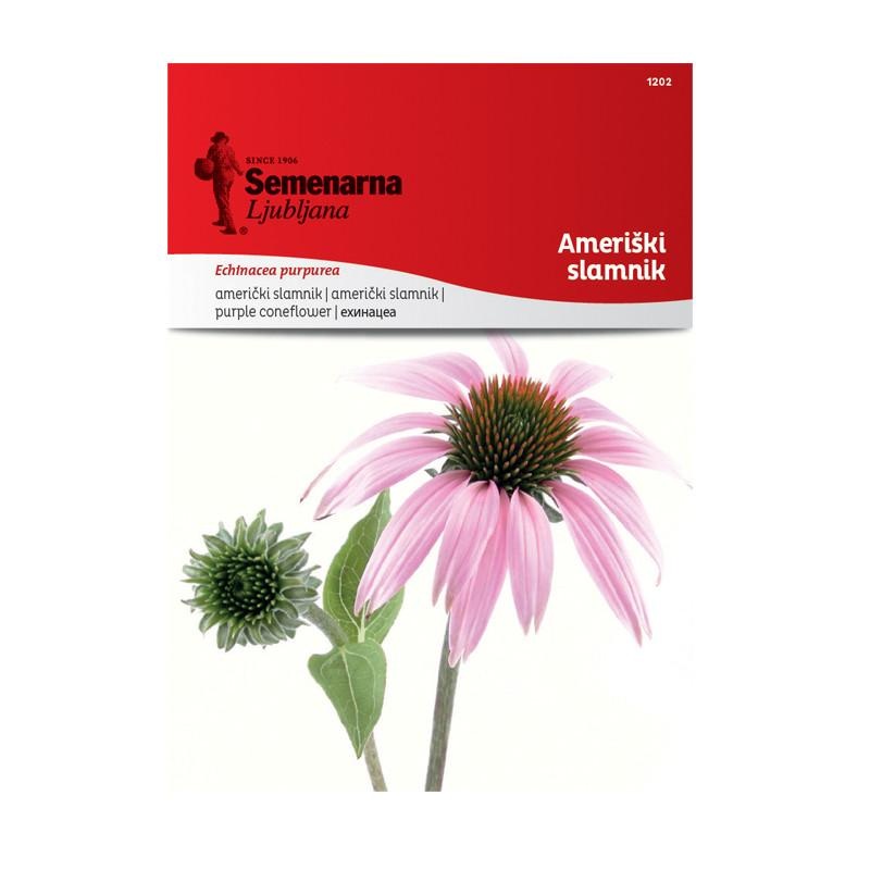 1701f6_641e6387003a431db9847cb24efc22f3mv2.jpg Амерички Сламник (Echinacea purpurea) - Image 1
