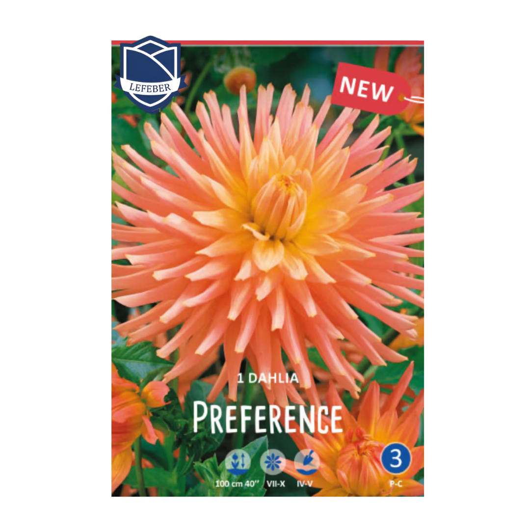 1701f6_7633e391e4c64e2789d30b2a9c9b4547mv2.png Dahlia Preference (1) - Далија - Image 1