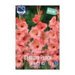 Gladiolus Georgia Peach (10) - Гладиола