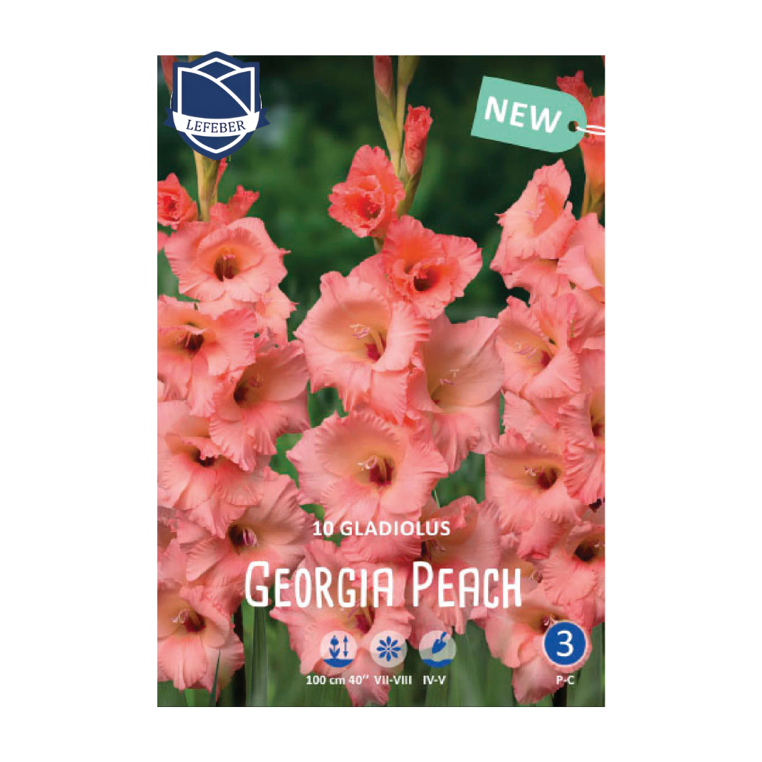 1701f6_7882fc9c49f64b12b6befee24bce66aamv2.png Gladiolus Georgia Peach (10) - Гладиола - Image 1