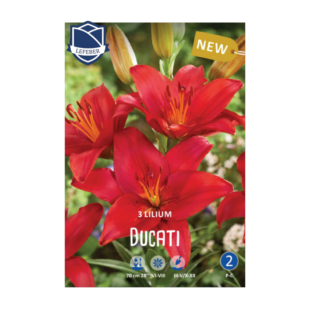 1701f6_85b69f73eb08498ba9de6857da9ae9femv2.png Lilium Ducati (3) - Крин - Image 1