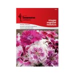 Кинески Каранфил Микс (Dianthus chinensis L.)