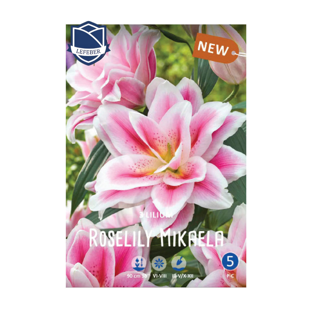 1701f6_888a5d379ce6413f8781da2e86b2362dmv2.png Lilium Roselily Mikaela (3) - Крин - Image 1