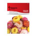 Суво Цвеќе Микс (Helichrysum bracteatum)