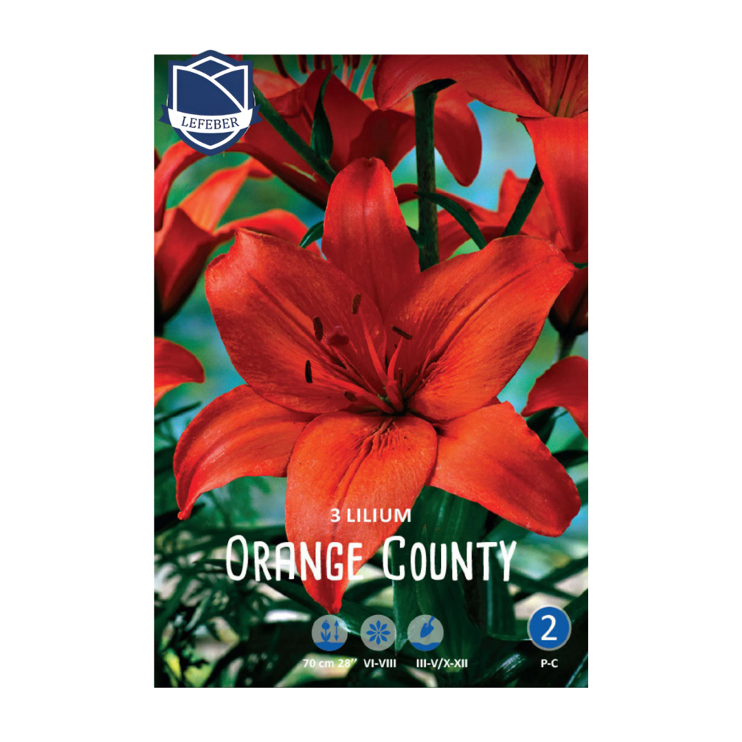 1701f6_8db8554f2b984a4a80f7dd9ad6860166mv2.png Lilium Orange County (3) - Крин - Image 1
