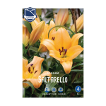 Lilium Saltarello (3) - Крин