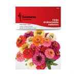 Арнаутче Ситноцветно Микс (Zinnia elegans Liliput)