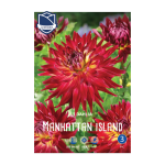 Dahlia Manhattan Island (1) - Далија