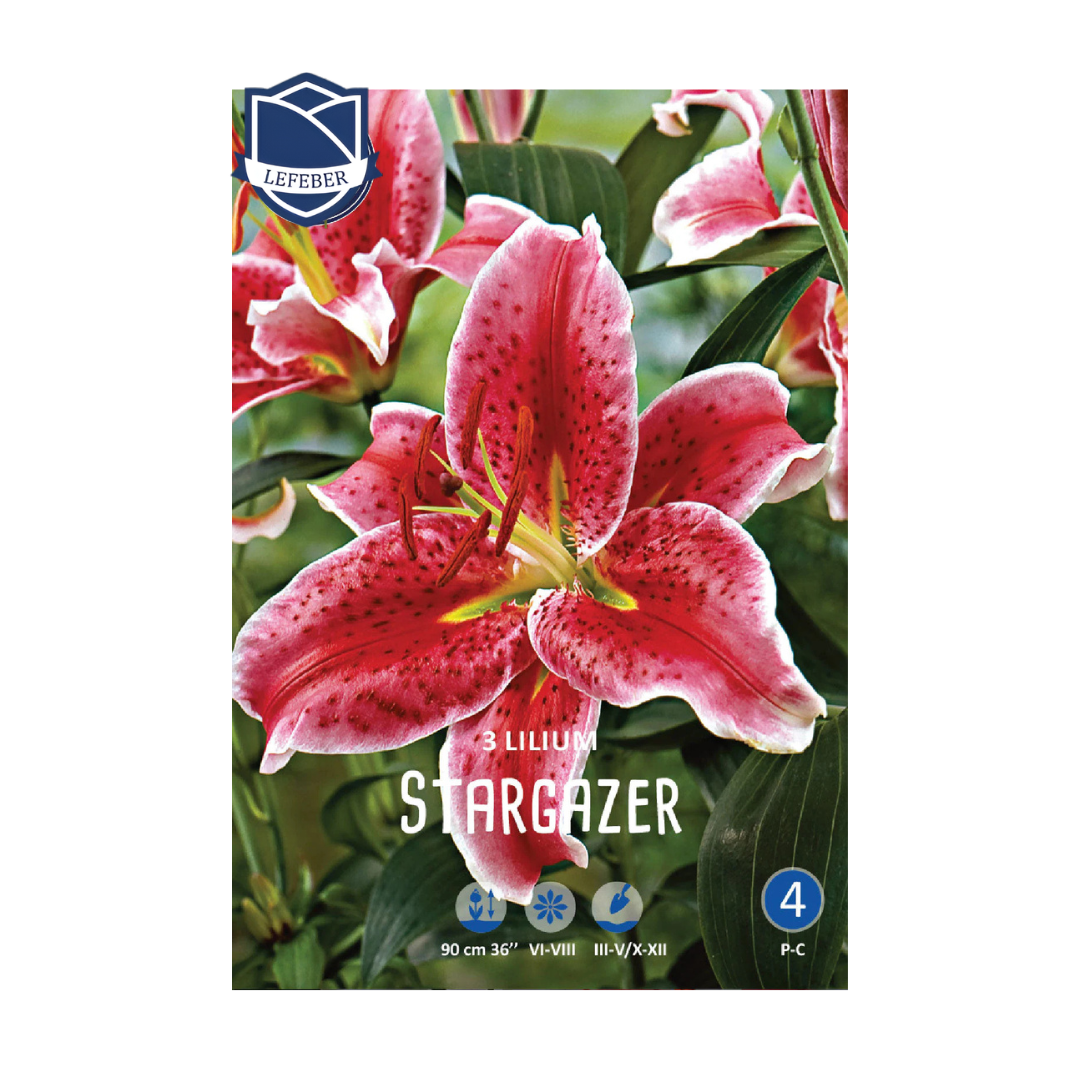 1701f6_972f2c9af8244dfeaedbe84e43990550mv2.png Lilium Stargazer (3) - Крин - Image 1