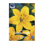 Lilium Golden Tycoon (3) - Крин