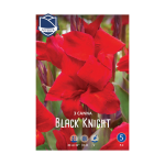 Canna Black Knight (3) - Кана