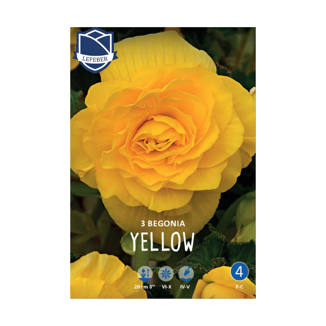 1701f6_a795ed6ca830493caef19dc7f3010e73mv2.png Begonia Double Yellow (3) - Бегонија - Image 1