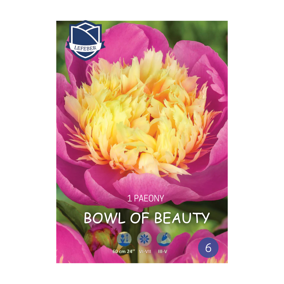 1701f6_add2d6951ad44f15b75367109dab5c13mv2.png Paeony Bowl of Beauty (1) - Божур - Image 1