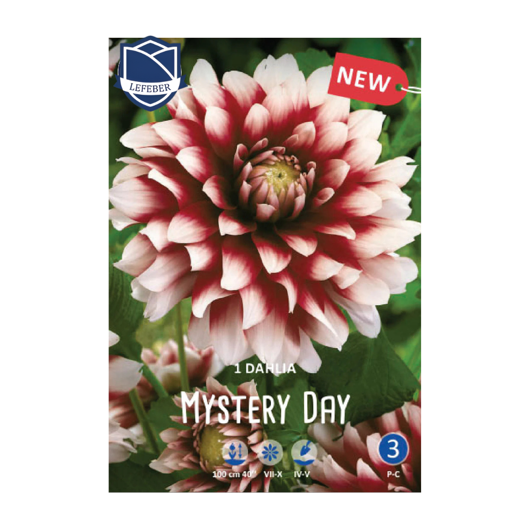 1701f6_b14f57b45df948e08cca402cfe2836f8mv2.png Dahlia Mystery Day (1) - Далија - Image 1