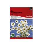 Камилица