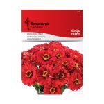 Арнаутче Црвено (Zinnia elegans Liliput)