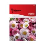 Бела Рада Микс (Bellis perennis L.)