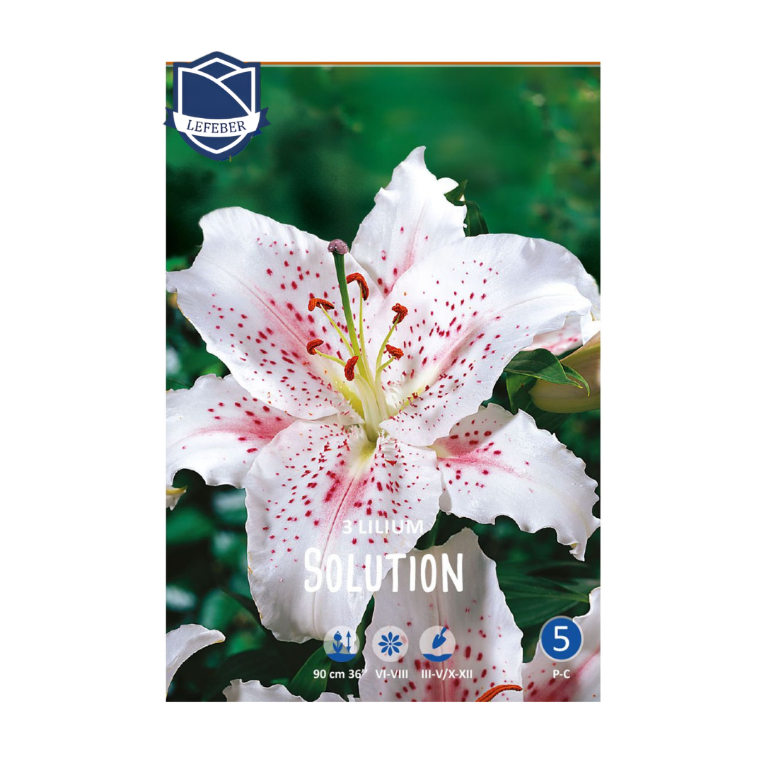 1701f6_d12dde89129d4e388b5c02f2d8fbfbc2mv2.png Lilium Solution (3) - Крин - Image 1