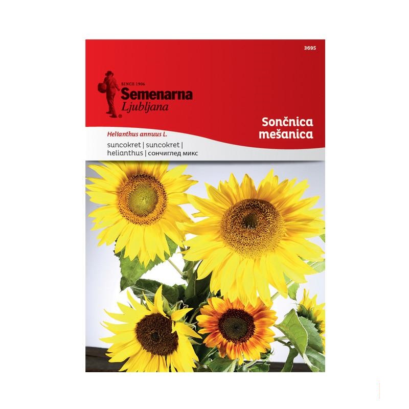1701f6_eb80258a393a47b6bf0cfe3ee9b85f6cmv2.jpg Сончоглед Висок Микс (Helianthus annuus L.) - Image 1