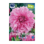 Dahlia Lavander Perfection (1) - Далија